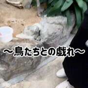 楓音(かのん) 毎回変わらない🤣 ハピネス札幌