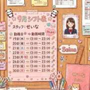 ヒメ日記 2026/09/18 12:24 投稿 せいな 船橋ぽちゃドル学園