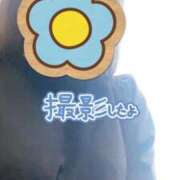 ヒメ日記 2026/05/07 20:05 投稿 芹沢 華恋人(カレント)