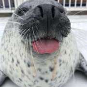 あすみ ミッキーお兄さん🐀 リニューアル