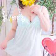 ヒメ日記 2026/06/12 16:48 投稿 みり 白いぽっちゃりさん