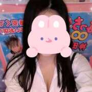 ヒメ日記 2026/07/14 18:49 投稿 とわ みつばちマーヤZ
