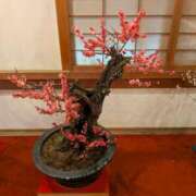 ヒメ日記 2026/05/14 11:11 投稿 すい ギン妻パラダイス 堺東店