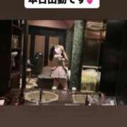 ヒメ日記 2026/09/16 08:37 投稿 月森 セリーナ Canx2京都店