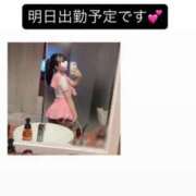 ヒメ日記 2026/09/23 15:17 投稿 月森 セリーナ Canx2京都店