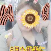 ヒメ日記 2026/08/20 06:48 投稿 ゆうひ 丸妻 町田店
