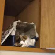 ヒメ日記 2026/10/02 22:33 投稿 さくらこ カワサキ EROTIC