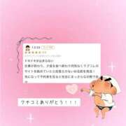 ヒメ日記 2026/05/08 17:16 投稿 ミル ラブコレクション