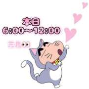 ヒメ日記 2026/05/13 05:01 投稿 ミル ラブコレクション