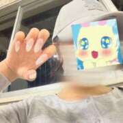 ヒメ日記 2026/08/28 08:46 投稿 ミル ラブコレクション
