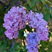 ヒメ日記 2026/05/20 09:27 投稿 一条　まこと タッチVIP