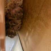 ヒメ日記 2026/06/12 13:18 投稿 一条　まこと タッチVIP