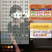 楓(かえで) 🍁イベント開催🍁 エクレア神田-ECLAIR-天然貴姉乳舐手淫