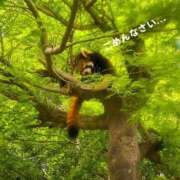 ヒメ日記 2026/09/09 21:57 投稿 イヴ トリプルA