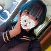 なぎ しゅっきん みつばちマーヤZ