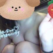 ヒメ日記 2026/05/10 17:16 投稿 まこと 萌えコス