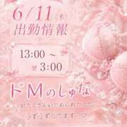 ヒメ日記 2026/06/11 12:50 投稿 しゅな i-doll（あいどーる）