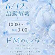ヒメ日記 2026/06/12 09:44 投稿 しゅな i-doll（あいどーる）