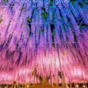 のん ♡お礼♡ 艶美の人妻小田原店～濃厚オプション無双～