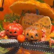 ヒメ日記 2026/10/03 09:54 投稿 みのり 木更津人妻花壇