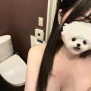 ヒメ日記 2026/08/06 03:07 投稿 ゆの 東京リップ 渋谷店