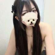ヒメ日記 2026/09/14 01:12 投稿 ゆの 東京リップ 渋谷店