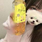 ヒメ日記 2026/09/14 14:49 投稿 ゆの 東京リップ 渋谷店