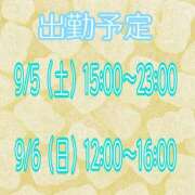 ヒメ日記 2026/08/31 14:19 投稿 ことね 茨城日立ちゃんこ