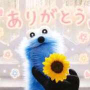 ヒメ日記 2026/06/06 08:51 投稿 にた 日暮里・西日暮里サンキュー