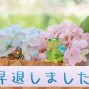 ヒメ日記 2026/06/12 16:06 投稿 藤林　なこ しこたま奥様 札幌店
