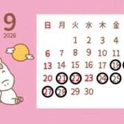 ヒメ日記 2026/09/14 07:11 投稿 ひめか ナイトヴィーナス