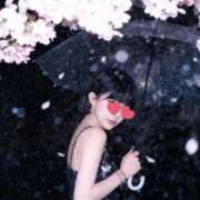 ヒメ日記 2026/05/13 02:46 投稿 みふゆ ジュリアングループ八王子店