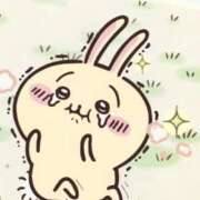 みこと アニマル診断探してやってみた🐰 萌えカワ