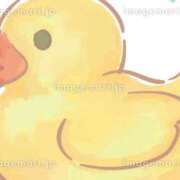 ヒメ日記 2026/05/30 07:03 投稿 アミ バニーコレクション新潟店