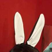 ヒメ日記 2026/08/05 08:05 投稿 アミ バニーコレクション新潟店
