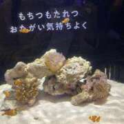 ヒメ日記 2026/09/15 22:33 投稿 アミ バニーコレクション新潟店