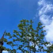 ヒメ日記 2026/05/31 12:47 投稿 天野(あまの) 人妻出逢い会 百合の園 山の手本店