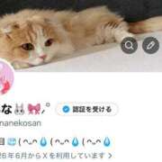 ヒメ日記 2026/06/29 04:20 投稿 七瀬あみな ラブアイドル