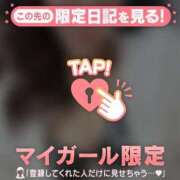 エリサ おかずに? マテリアル