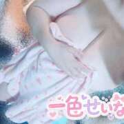 ヒメ日記 2026/06/07 01:01 投稿 一色 BBW西船橋店