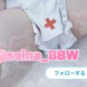 ヒメ日記 2026/06/09 03:31 投稿 一色 BBW西船橋店