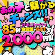 ヒメ日記 2026/09/30 13:51 投稿 一色 BBW西船橋店
