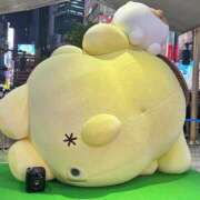 ヒメ日記 2026/05/13 06:30 投稿 みかな ふわふわコレクション川越店