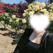 ヒメ日記 2026/05/26 08:55 投稿 Mimika(みみか) AMATERAS(アマテラス)(福山)