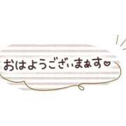 ヒメ日記 2026/05/13 07:41 投稿 柏木ゆい 大人めシンデレラ 新横浜店（シンデレラグループ）