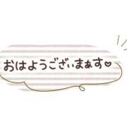 ヒメ日記 2026/05/15 07:04 投稿 柏木ゆい 大人めシンデレラ 新横浜店（シンデレラグループ）