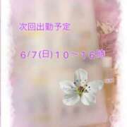 ヒメ日記 2026/06/01 06:01 投稿 せいか 錦糸町ミセスアロマ（ユメオト）