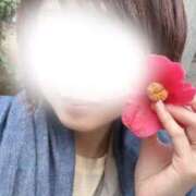 ヒメ日記 2026/05/15 07:38 投稿 さき セクシーキャット 小田原店