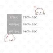 ヒメ日記 2026/06/07 20:01 投稿 怜-REI- luxury aroma 咲