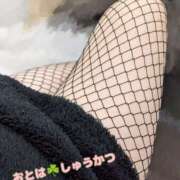 ヒメ日記 2026/05/07 19:49 投稿 おとは しゅうかつ倶楽部